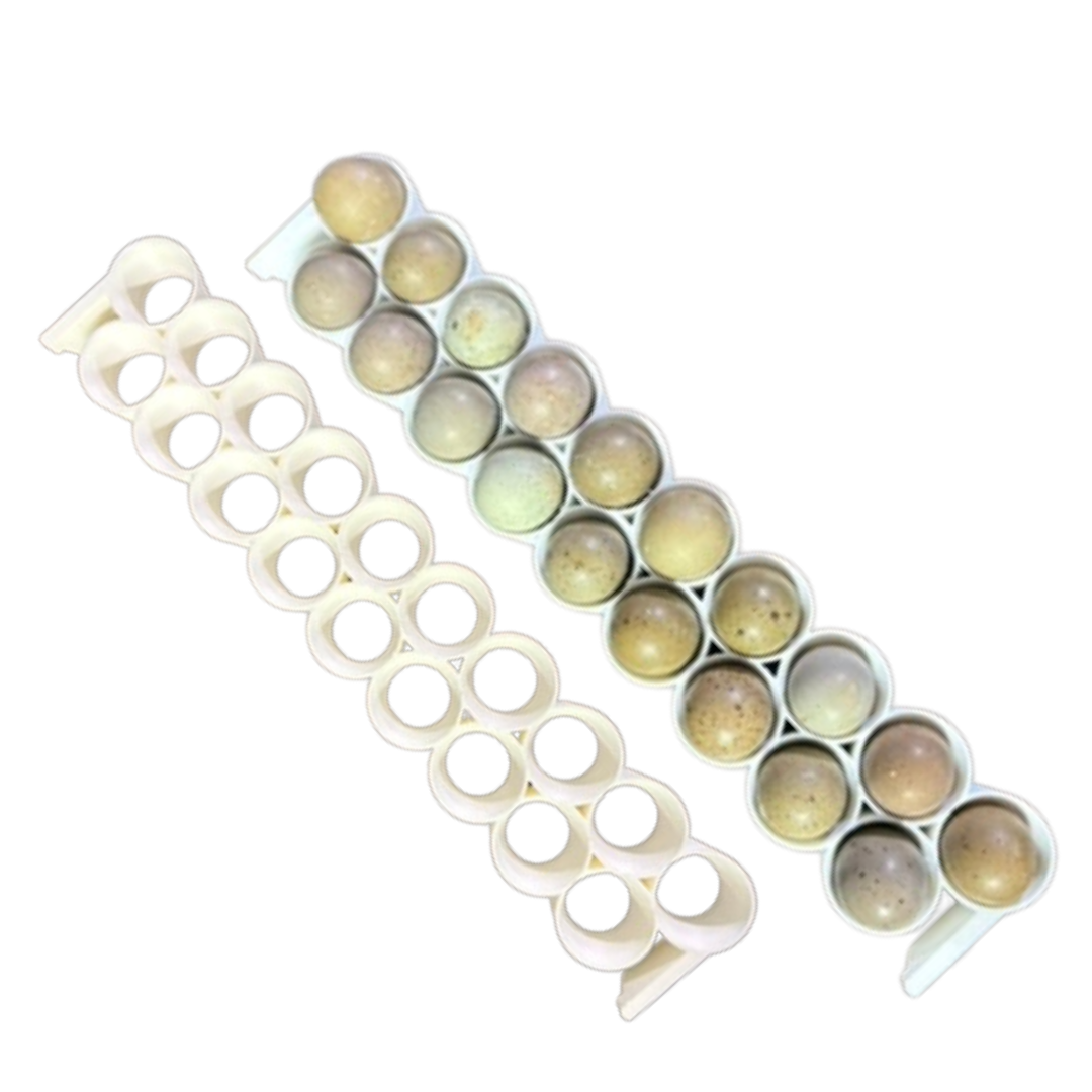 Button Quail Egg Rails for Cimuka and Hatching Time Conturn racks