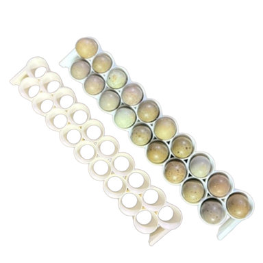 Button Quail Egg Rails for Cimuka and Hatching Time Conturn racks