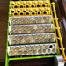 Button Quail egg inserts for secure positioning during incubation