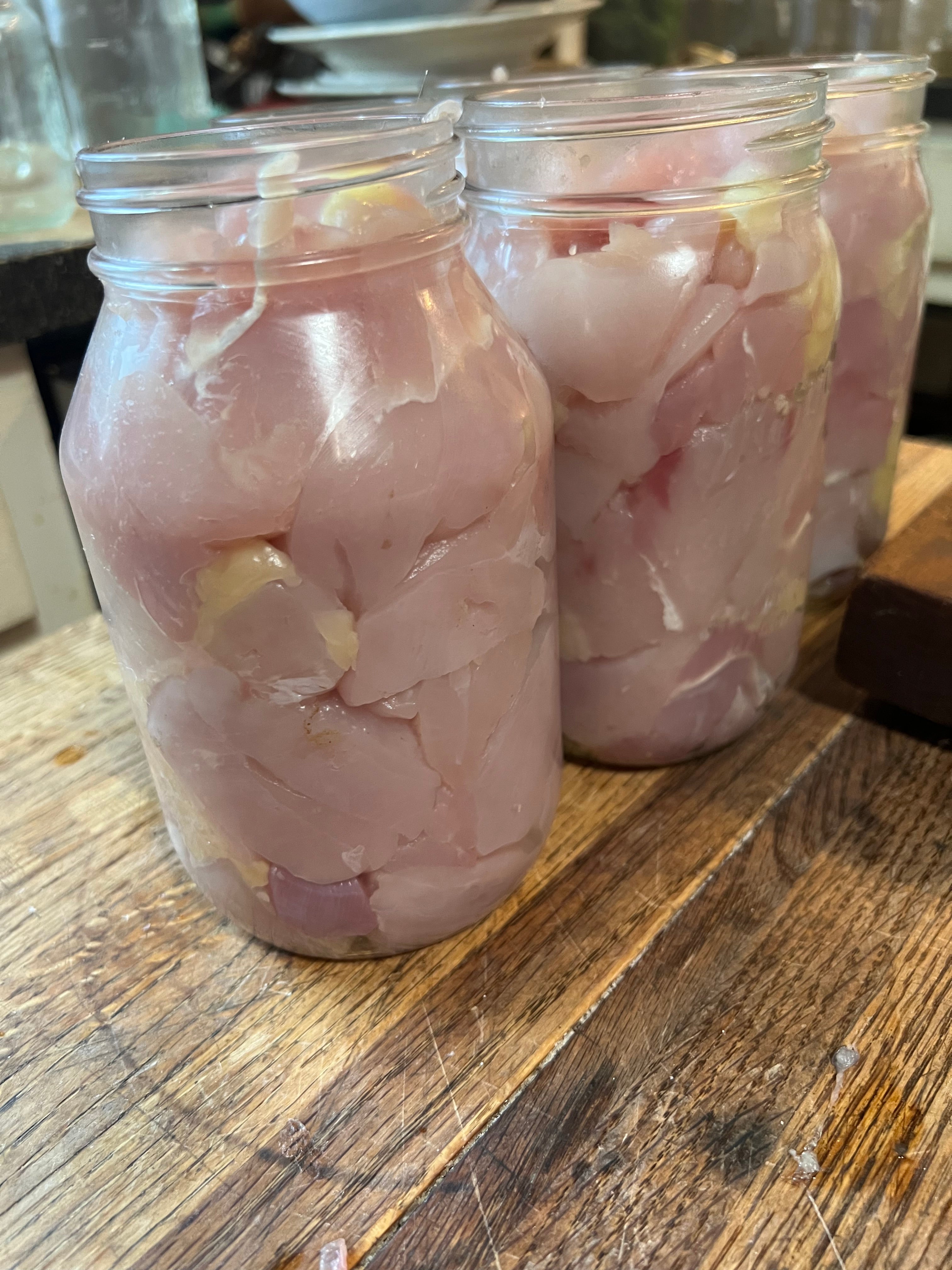 North Star Farms - White American Bresse – North Star Line- "JENN'S GEMS" Group