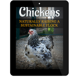 Chickens: Naturally Raising A Sustainable Flock E-book