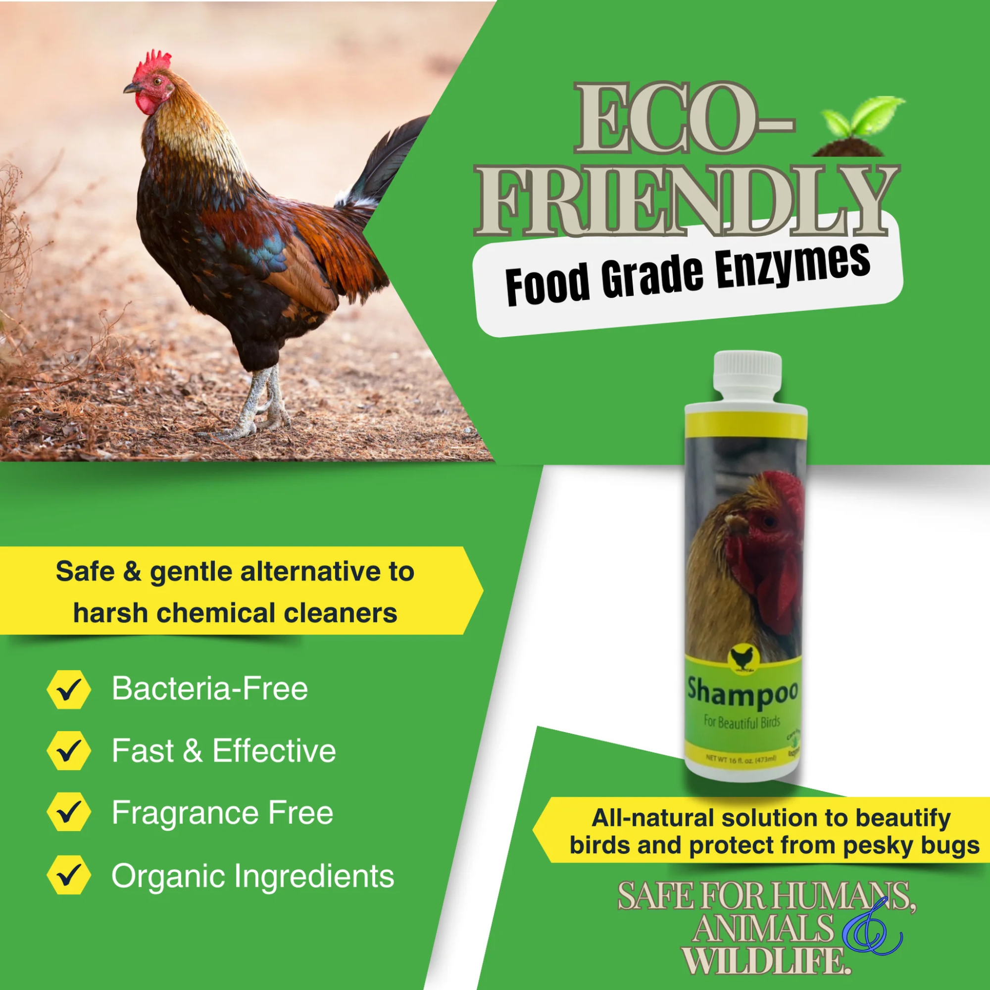 CareFree Enzymes Poultry Shampoo Facts