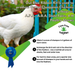 CareFree Enzymes Poultry Shampoo Instructions