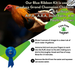 Carefree Enzymes Blue Ribbon Kit for Show Chickens and Turkeys