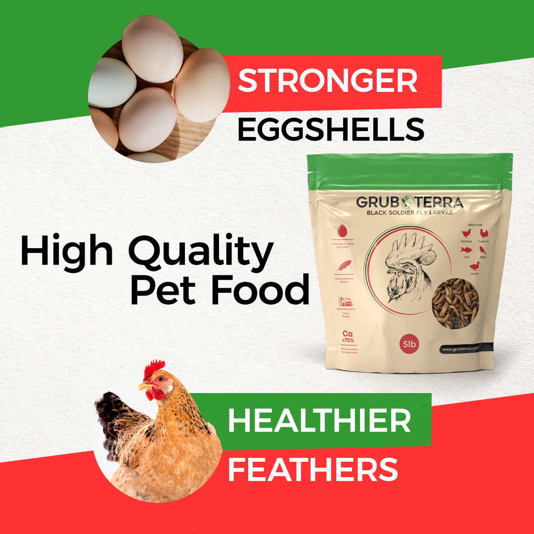 GrubTerra Dried Larvae Sample high quality food