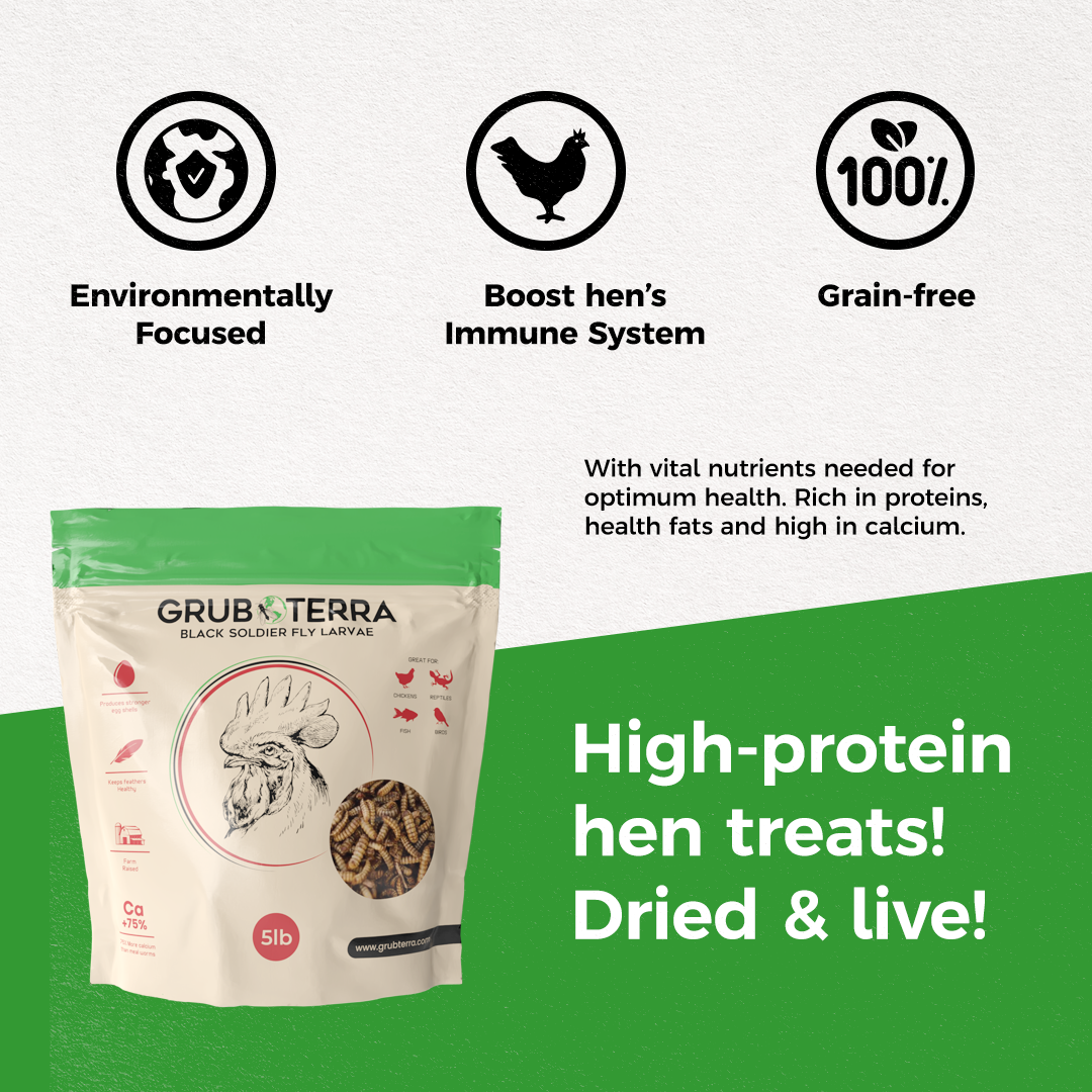 GrubTerra Dried Larvae Sample high protein