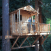 CedarShed Clubhouse Playhouse in tree