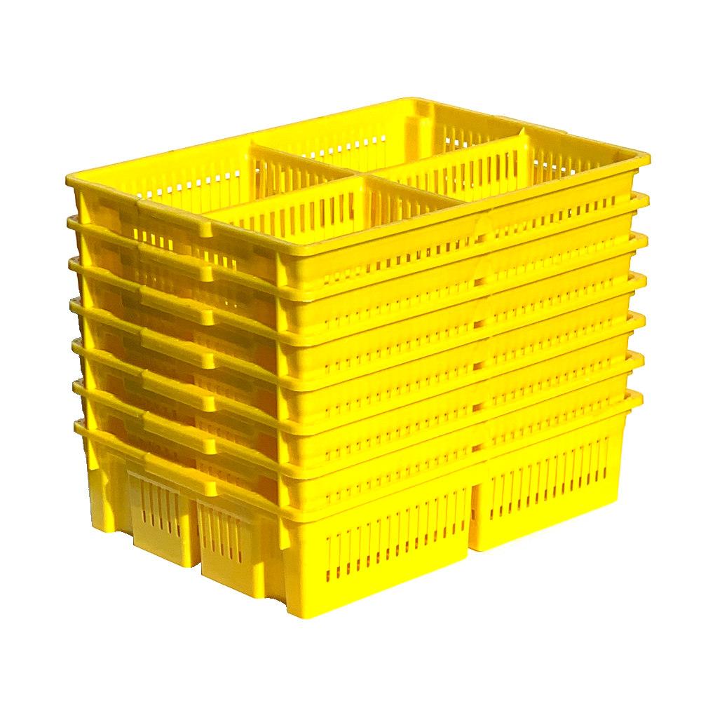 AYTAV Large Chick Basket - 4 Section (4x25 Chicks)