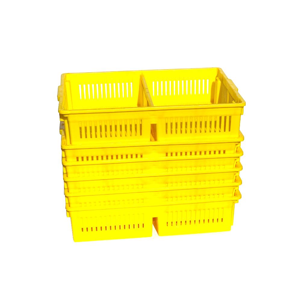 AYTAV Large Chick Basket - 2 Section (2x50 Chicks)