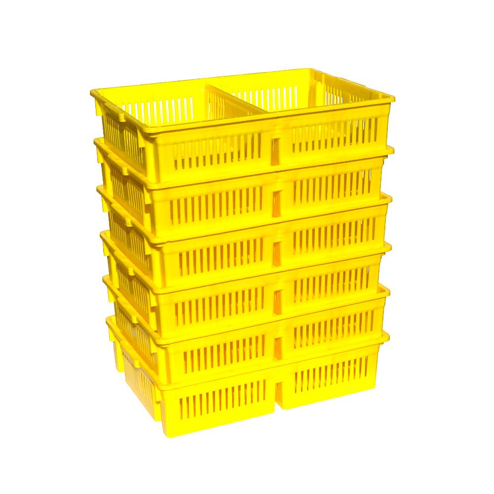 AYTAV Large Chick Basket - 2 Section (2x50 Chicks)