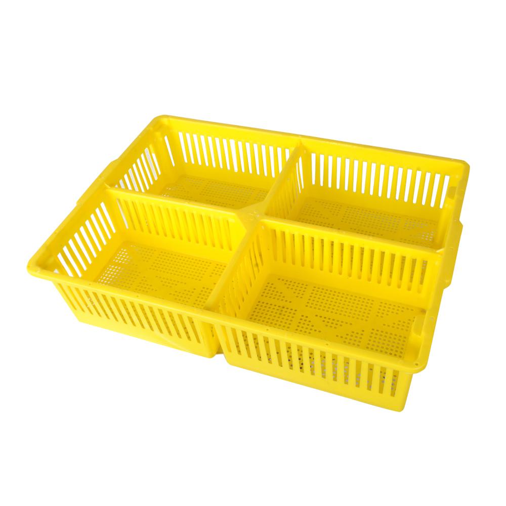 AYTAV Large Chick Basket - 4 Section (4x25 Chicks)