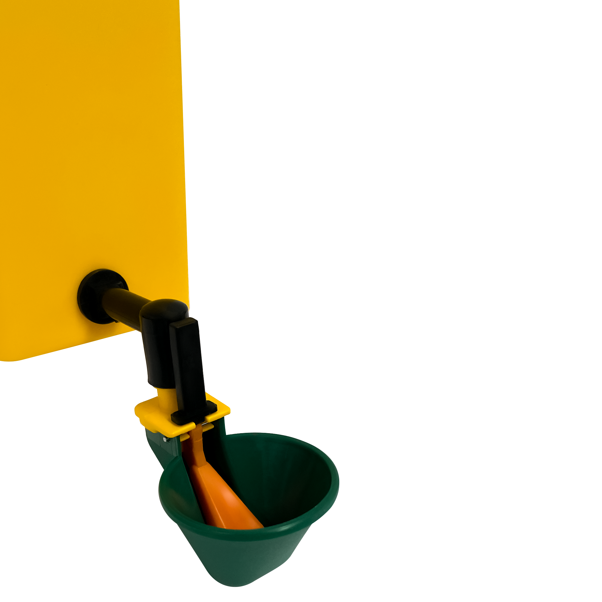 Chicken drinking waterer with float valve to regulate water levels