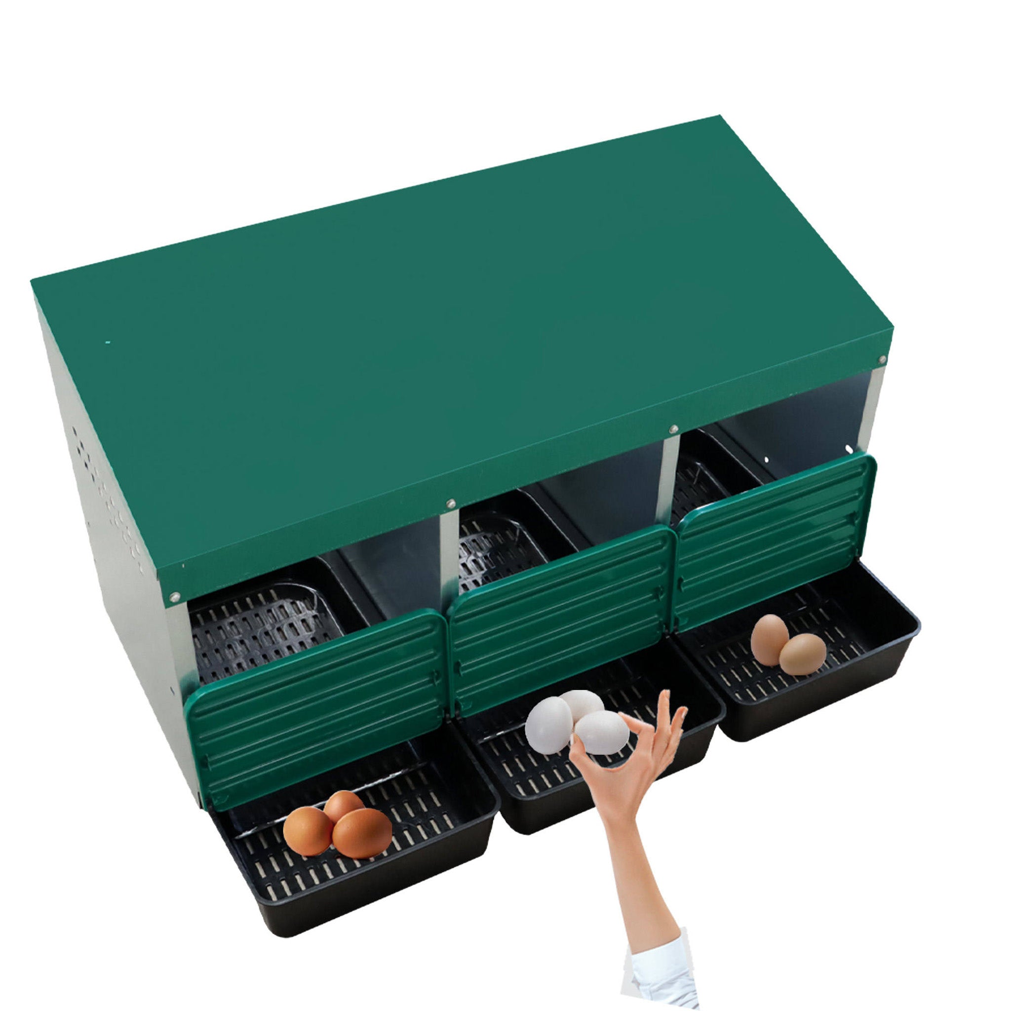 Chicken nesting box with three green roll-out trays for convenient egg collection.