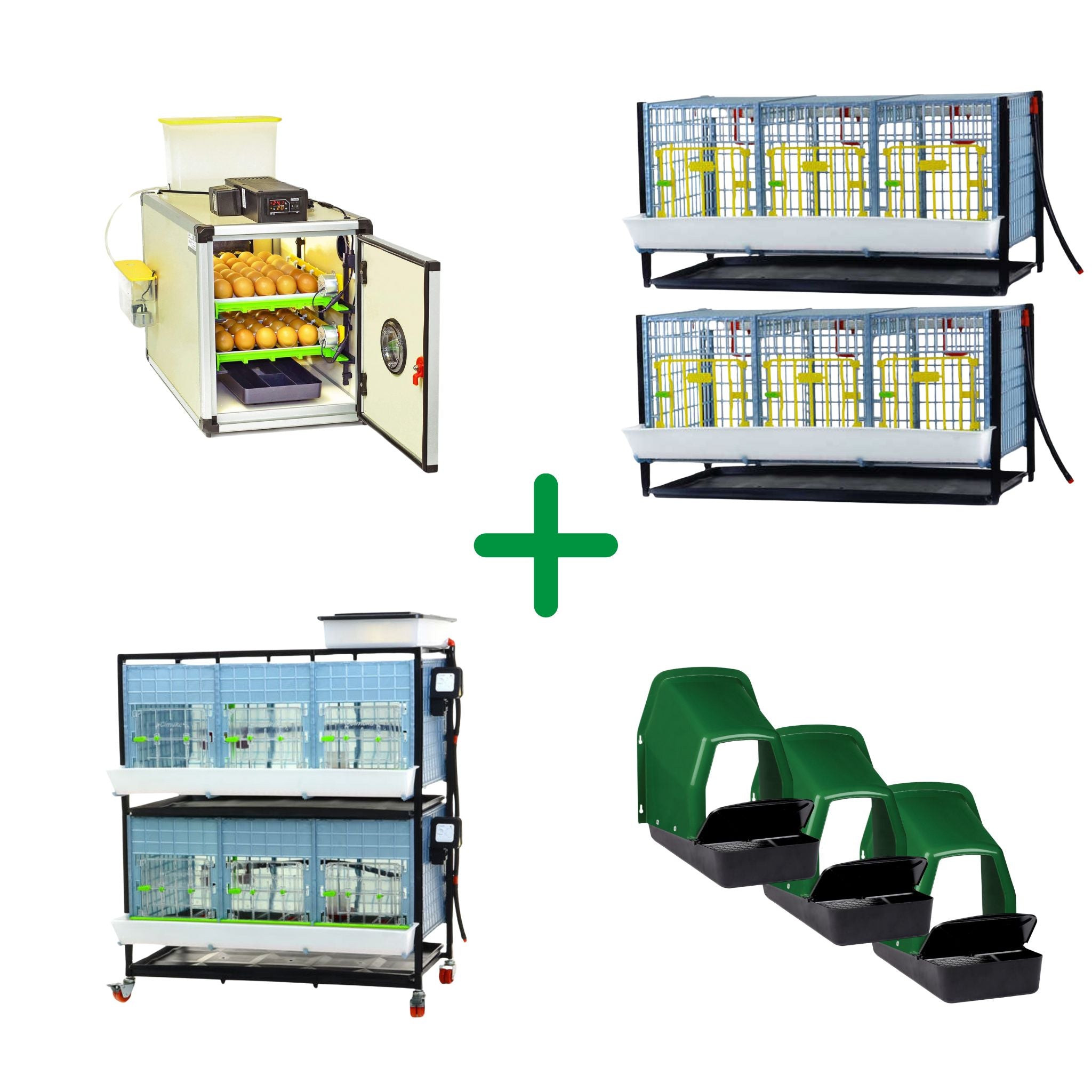 Chicken raising starter kit with egg incubator, chick brooder, grow-out pens, and roll-out nesting boxes.