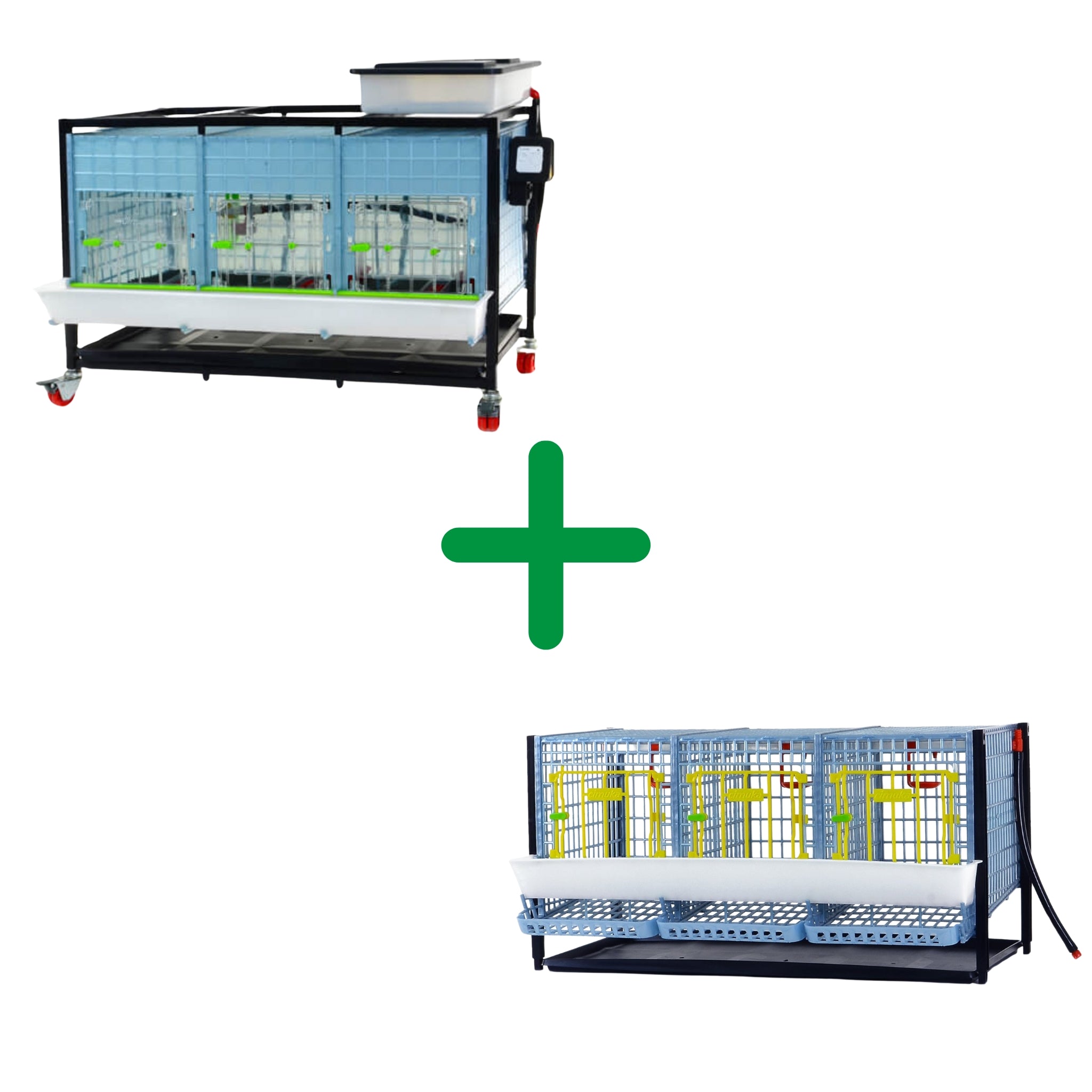Chicken starter kit with Hatching Time chick brooder and chicken cage layer addition.