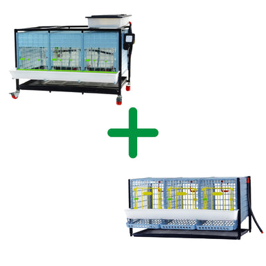 Chicken starter kit with Hatching Time chick brooder and chicken cage layer addition.