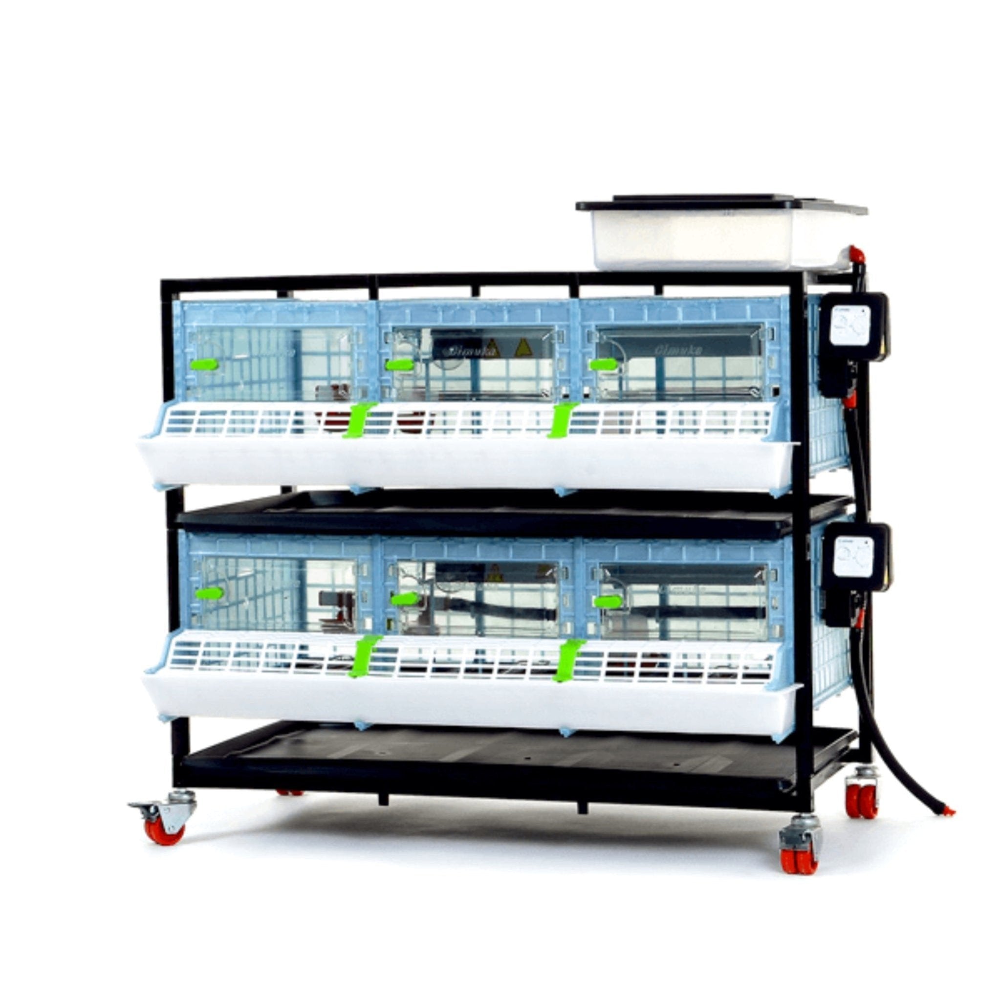 Cimuka 2-Layer Game Bird Brooder with automatic heating for quail and small chicks.