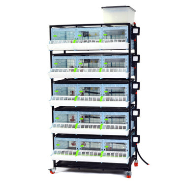 Cimuka 5-Layer Game Bird Brooder for raising quail, pheasant, and partridge chicks.