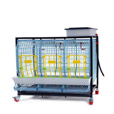 Cimuka COMFORTPLAST 1-layer chicken breeding cage for 1–3 chickens with plastic flooring and roll-out egg trays.