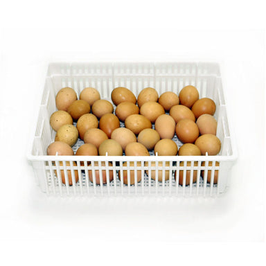 Cimuka CS35Y chicken egg hatching basket with 35-egg capacity.