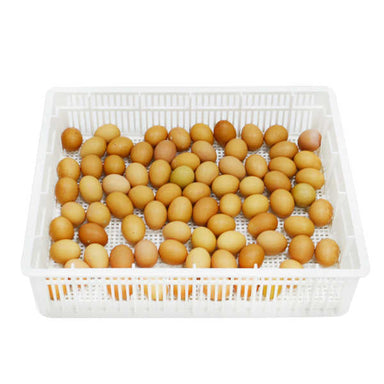 Cimuka CS80Y hatching basket for up to 80 chicken eggs
