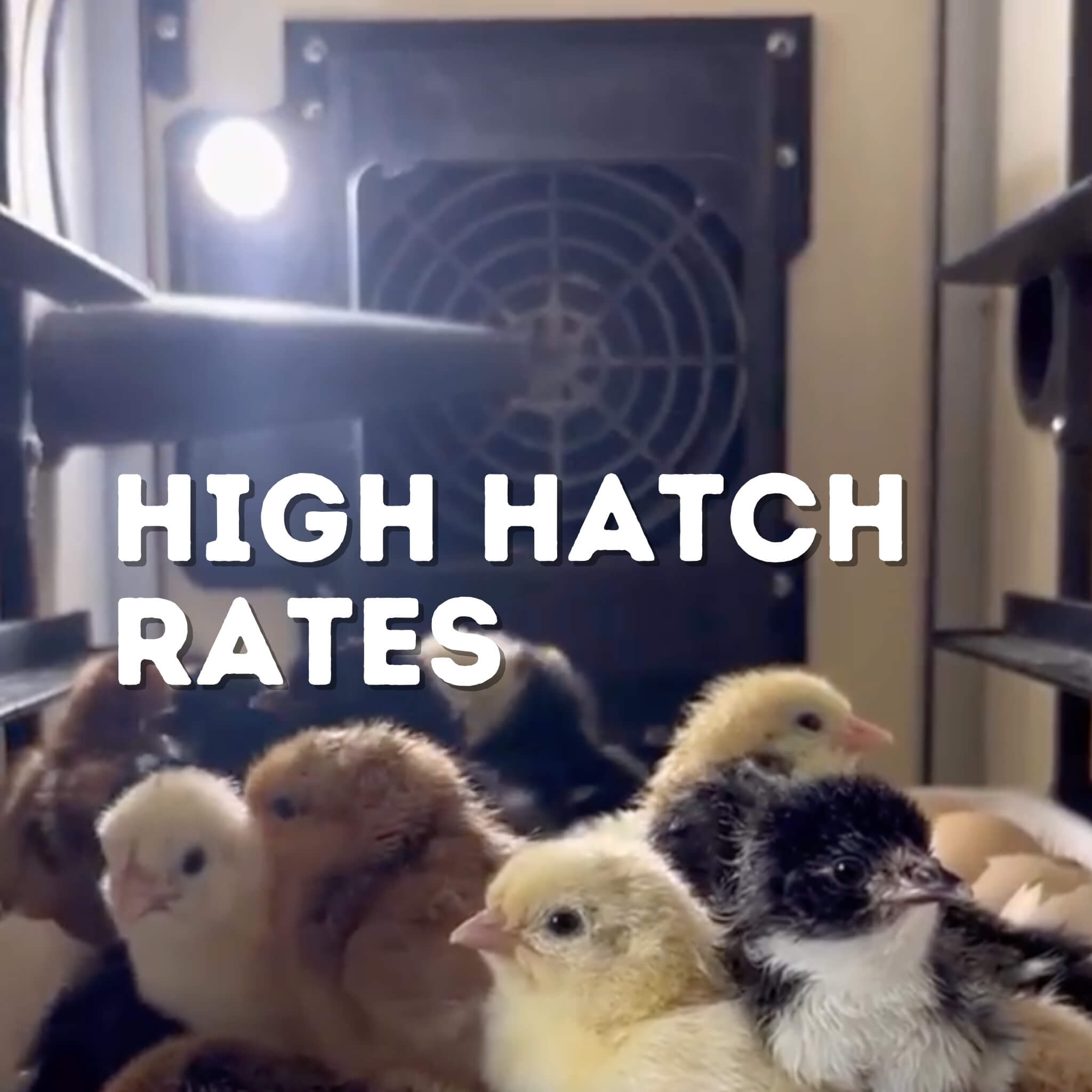 Cimuka CT120H High Hatch Rates