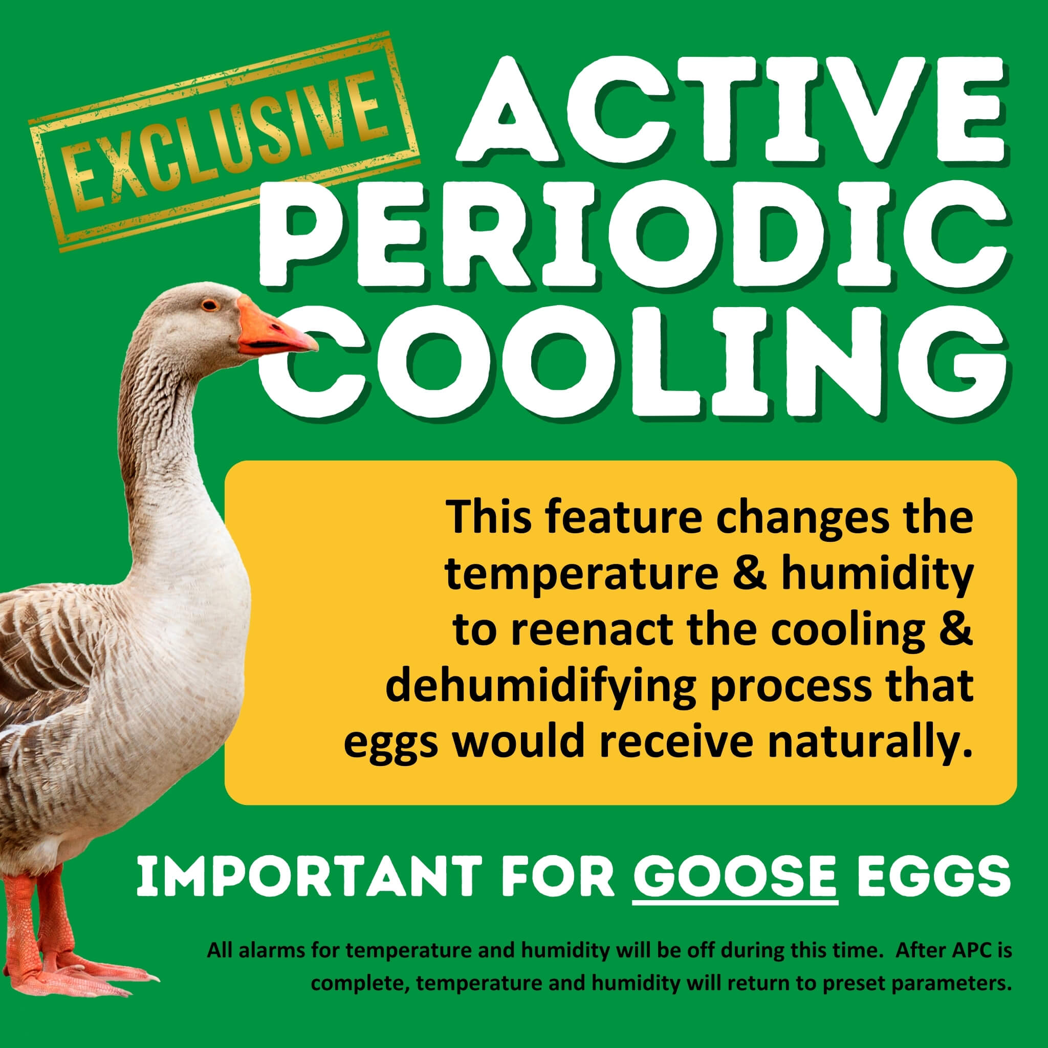 Cimuka CT60H Active Periodic Cooling