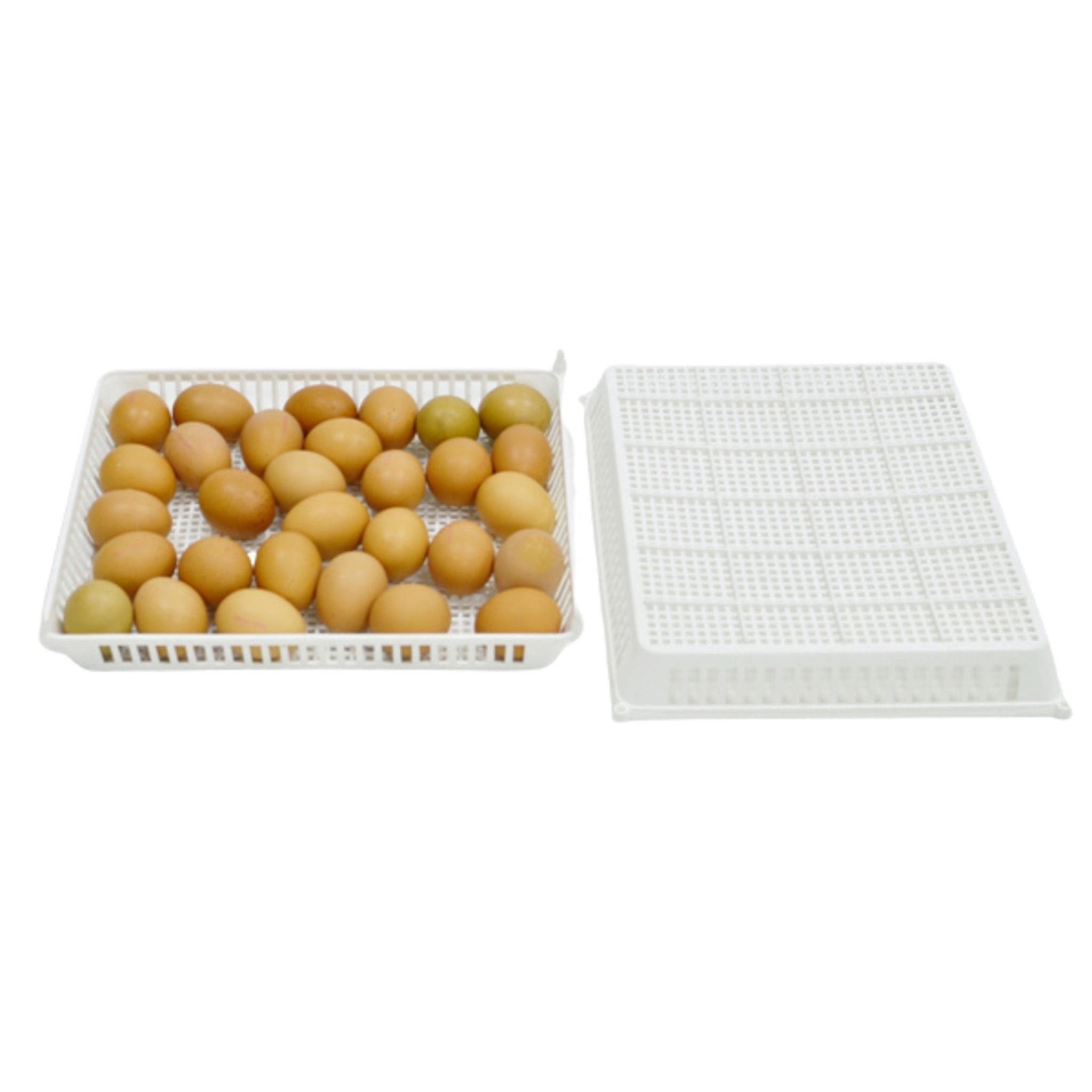Cimuka Conturn TM60 automatic egg turner system for DIY poultry cabinet incubators.