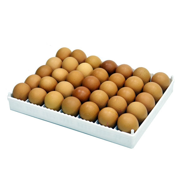 Cimuka FLX35Y multi-species egg setter tray with 10 adjustable dividers for poultry incubation.