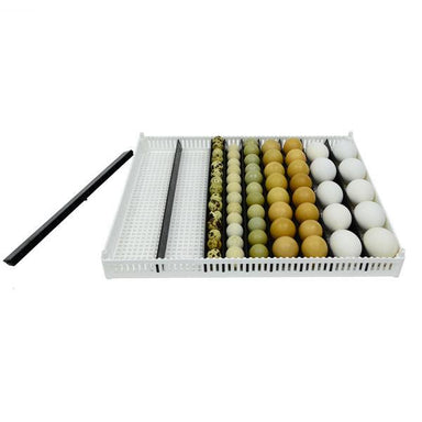 Cimuka FLX80-ST adjustable egg setter tray for T Series incubators