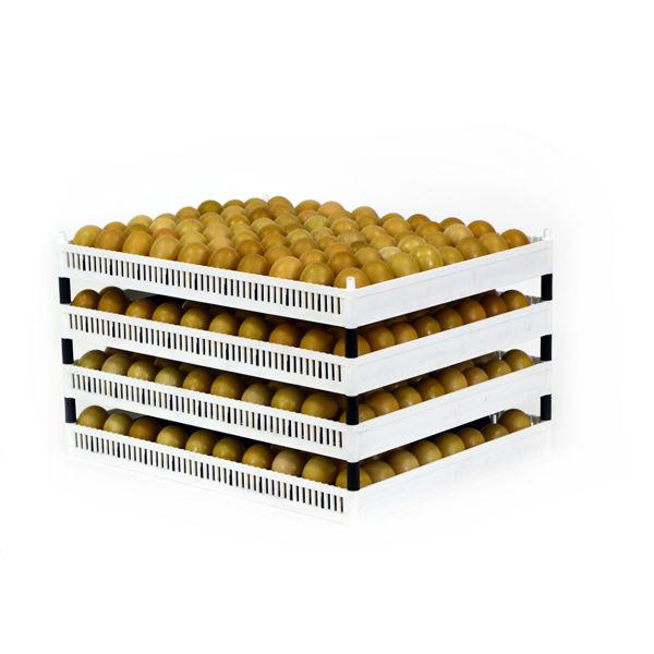 Cimuka FLX80-ST poultry egg incubation tray with flexible dividers