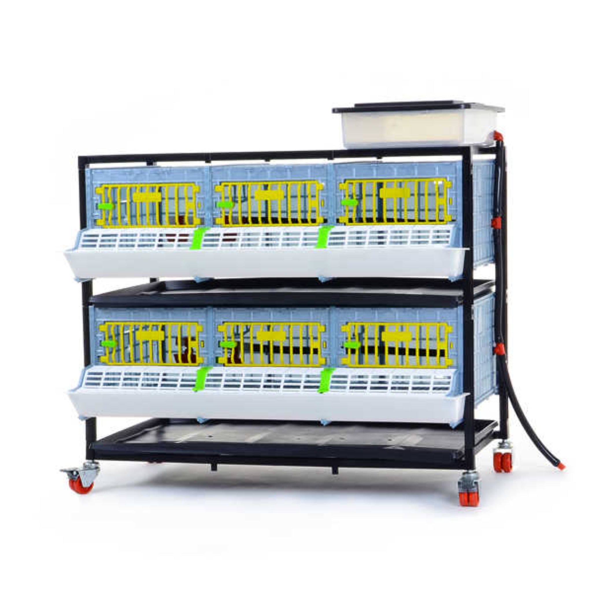 Cimuka GL25-03-2K 9.5-inch stackable grow-out pen for raising juvenile quail and small game birds.