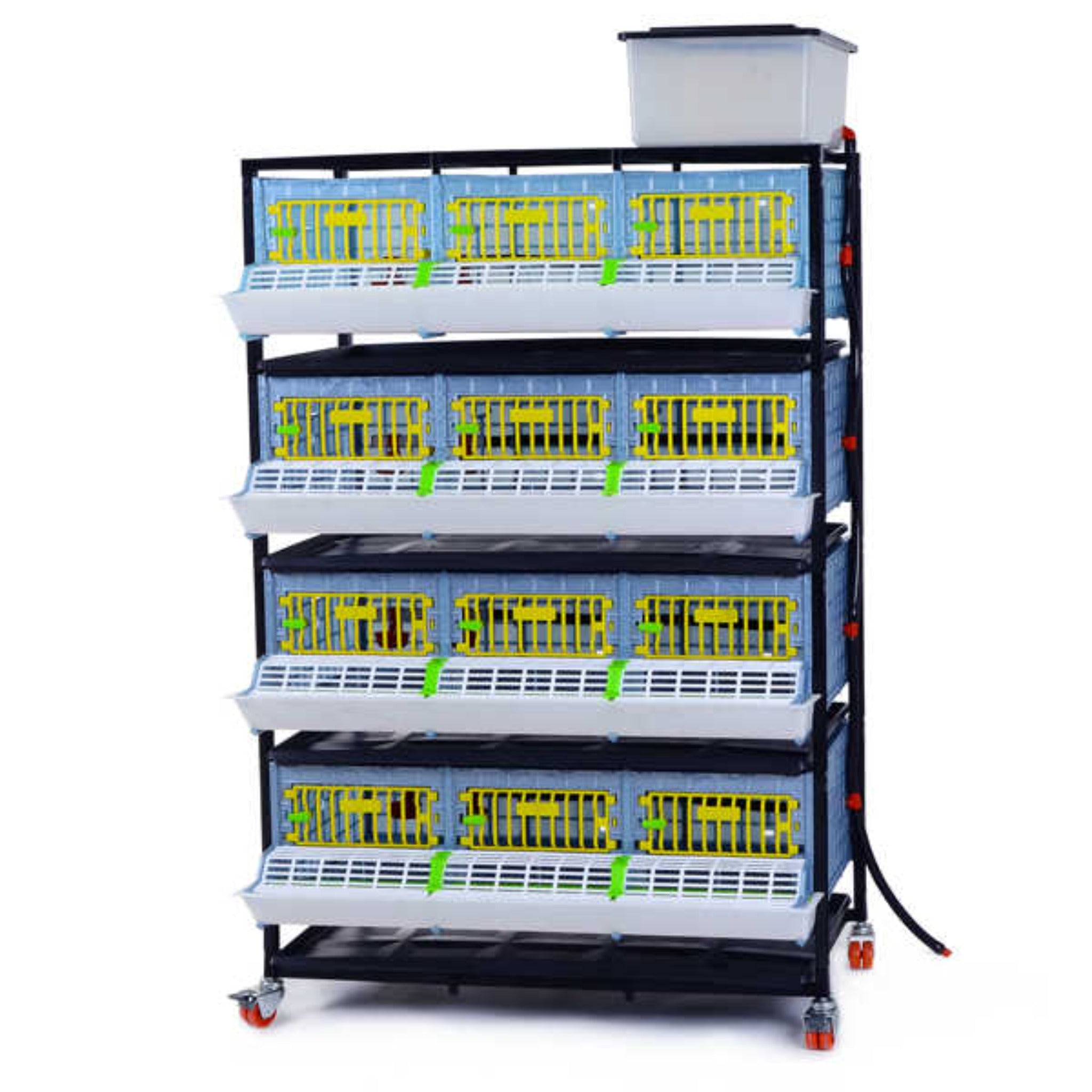 Cimuka GL25-03-4K stackable grow-out pen for rearing juvenile quail and small game birds.