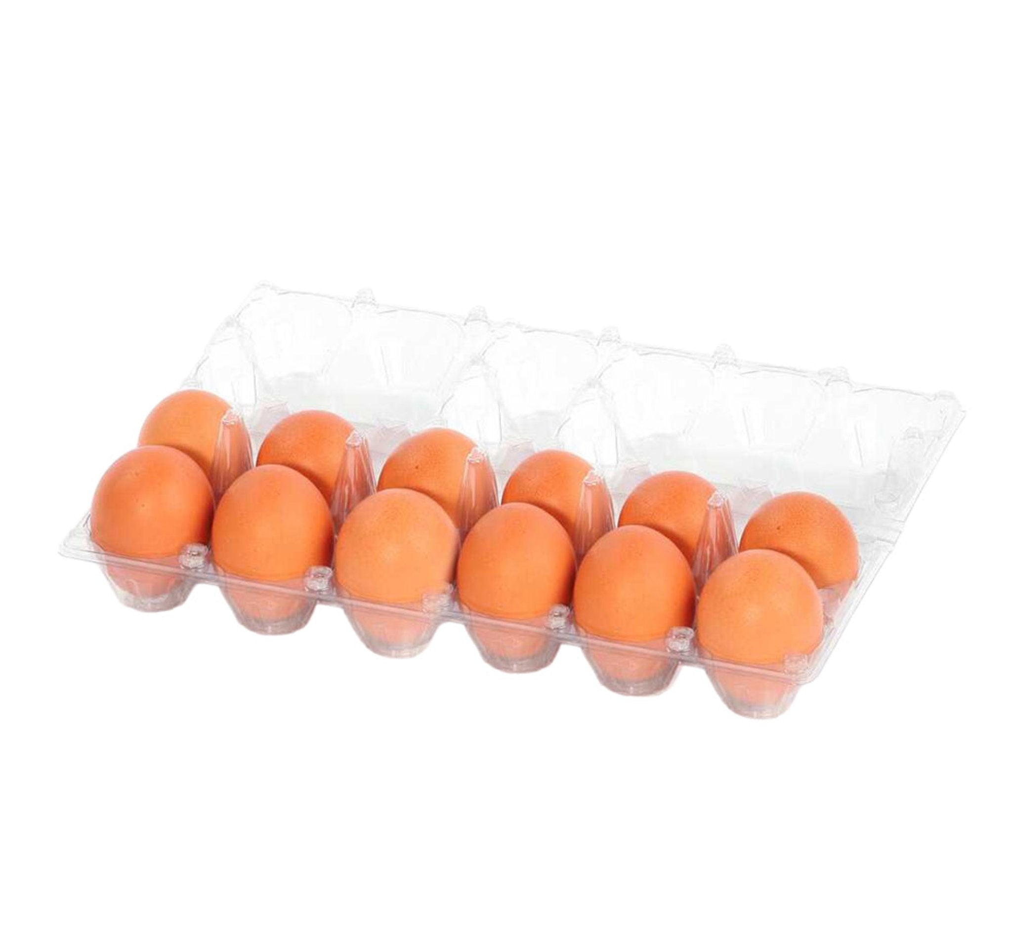 Clear plastic egg carton holding 12 chicken eggs