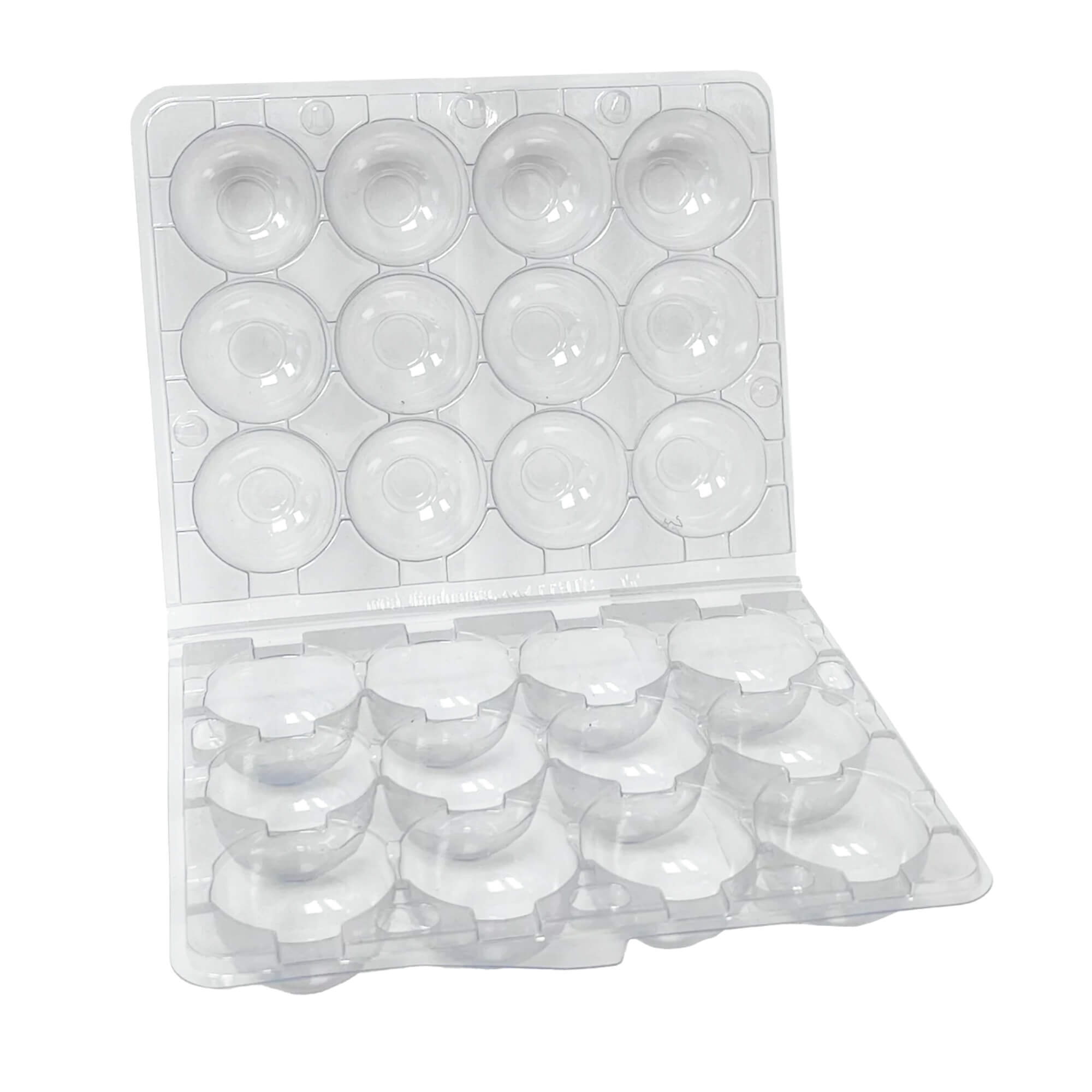 Clear plastic quail egg carton with capacity for 12 quail eggs.