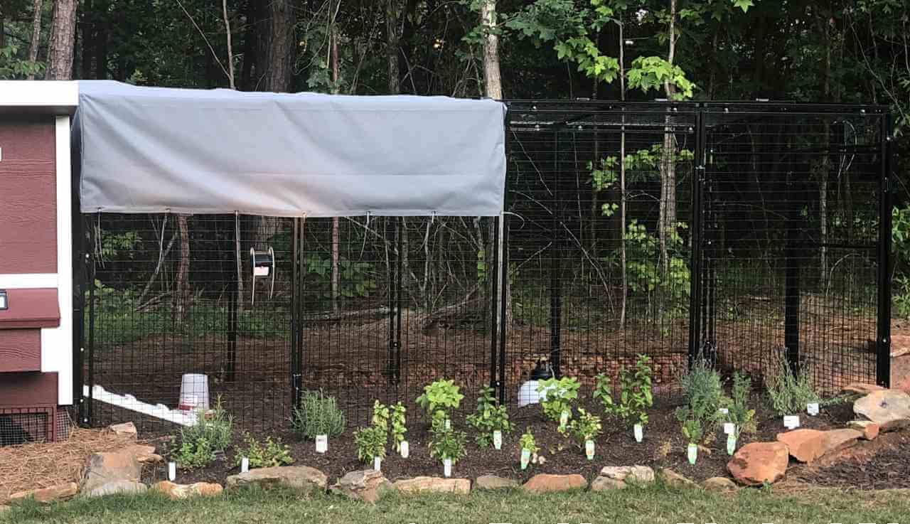 OverEZ Chicken Run Large 15' Walk-In Stand-Alone or Attachable