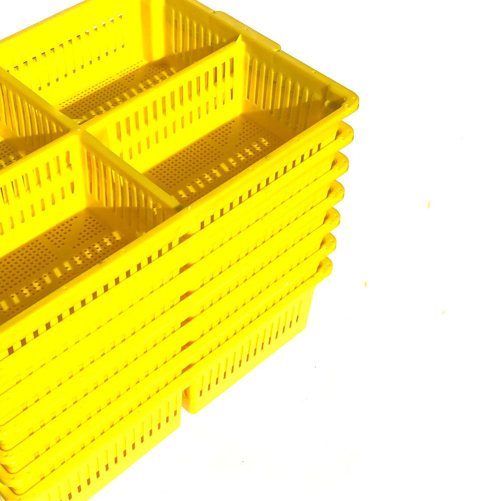 AYTAV Large Chick Basket - 4 Section (4x25 Chicks)