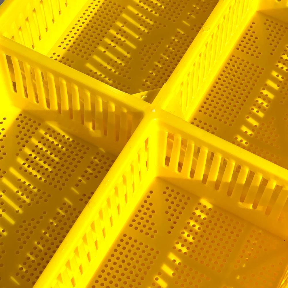 AYTAV Large Chick Basket - 4 Section (4x25 Chicks)