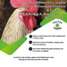Comb & Wattle Reddening Ointment Application Instructions