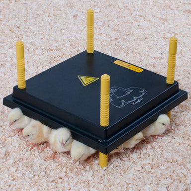 Comfort Heating Plate for chicks, 12 x 12 inch chick brooder heating plate.