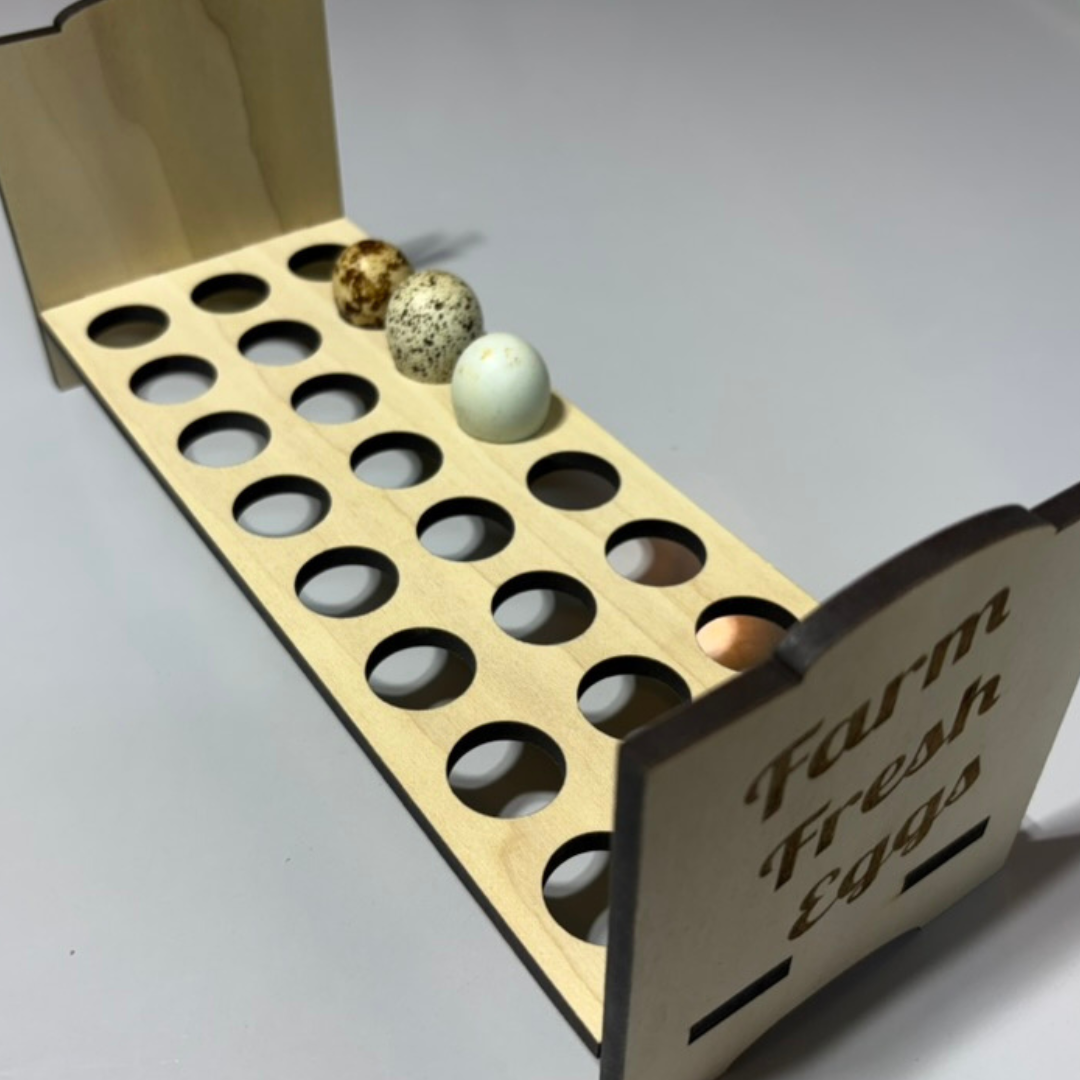 Compact quail egg storage rack holding up to 24 fresh eggs