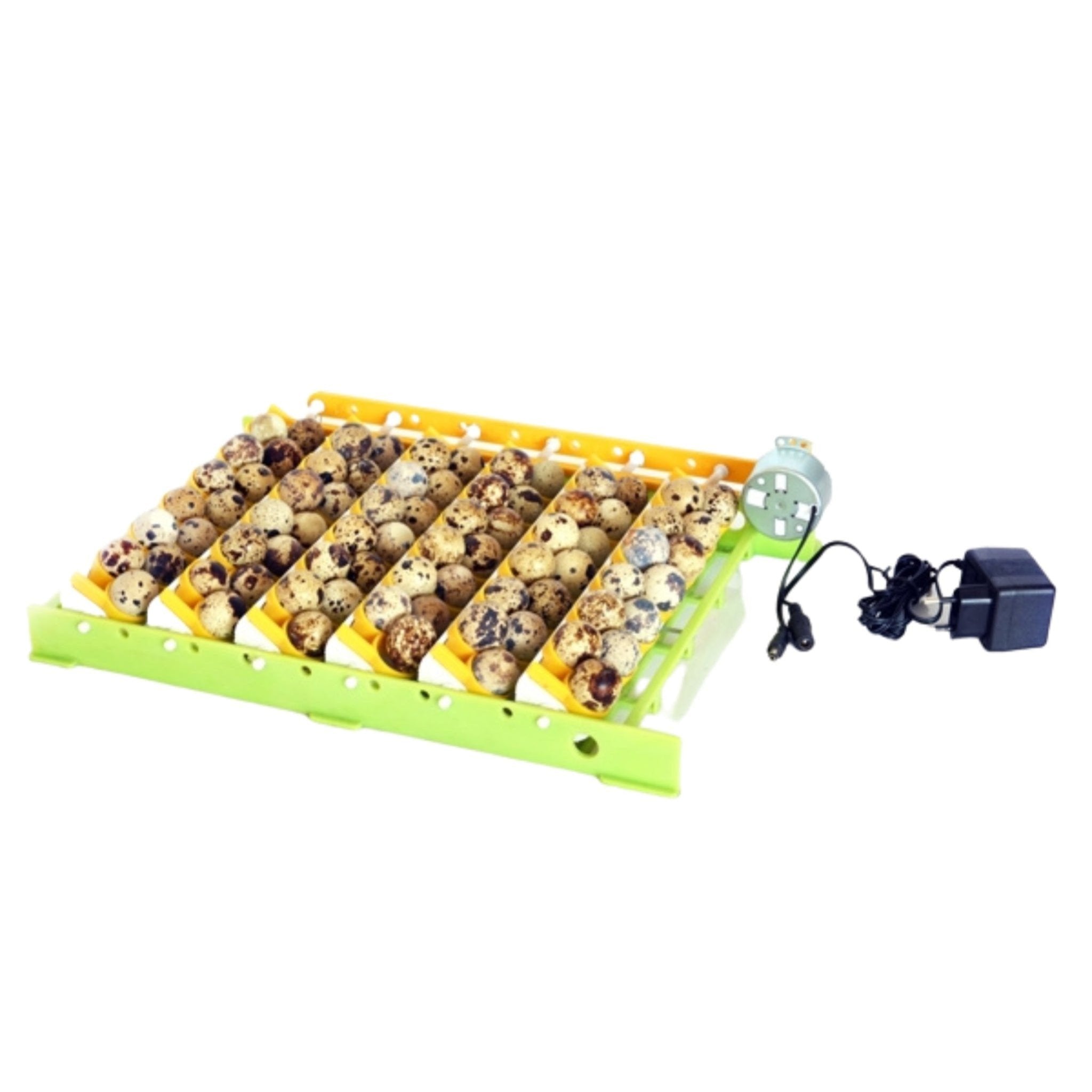 Conturn30 compatible quail egg rack designed to hold up to 13 quail eggs.