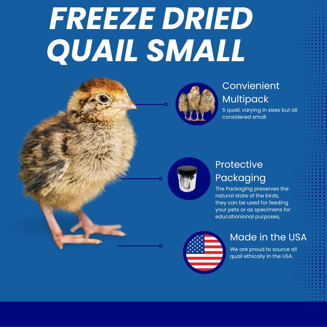 Convenient Freeze-Dried Pet Treats