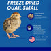 Convenient Freeze-Dried Pet Treats