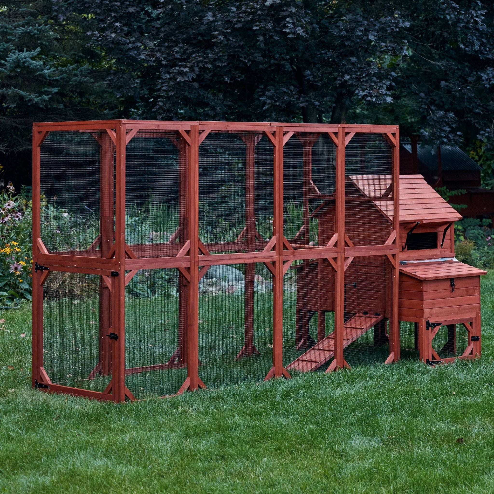 Chicken Coop Kit for 6 Chickens | Orpington Lodge