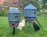 CoopWorx 40 lb Feed Silo with Optional Base Styles with chickens