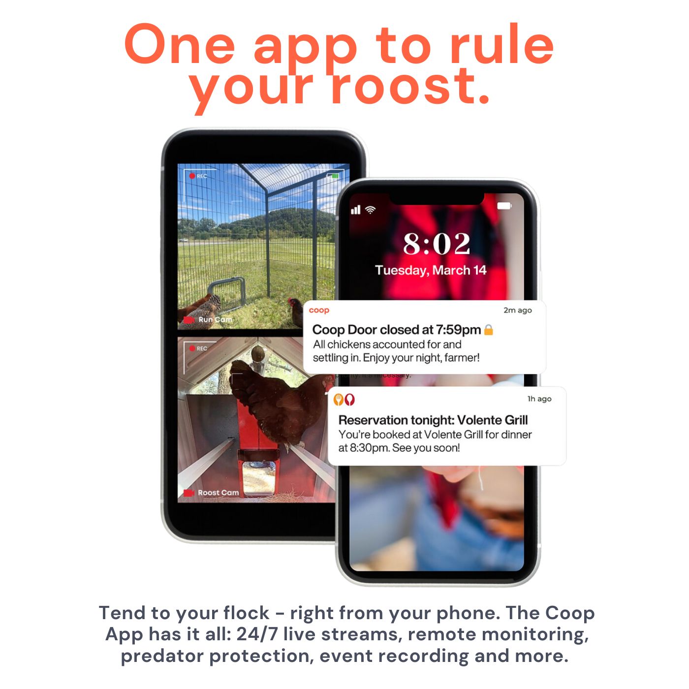 Coop The Smart Coop + Base phone alerts with app