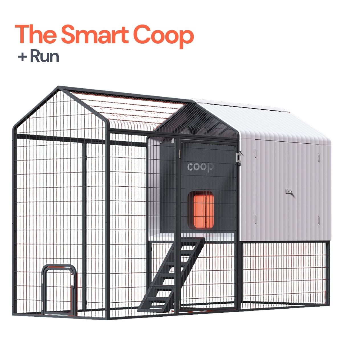 Coop The Smart Coop with Steel Run display