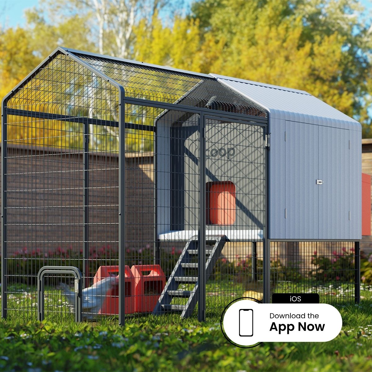 Coop The Smart Coop with Steel Run with chicken