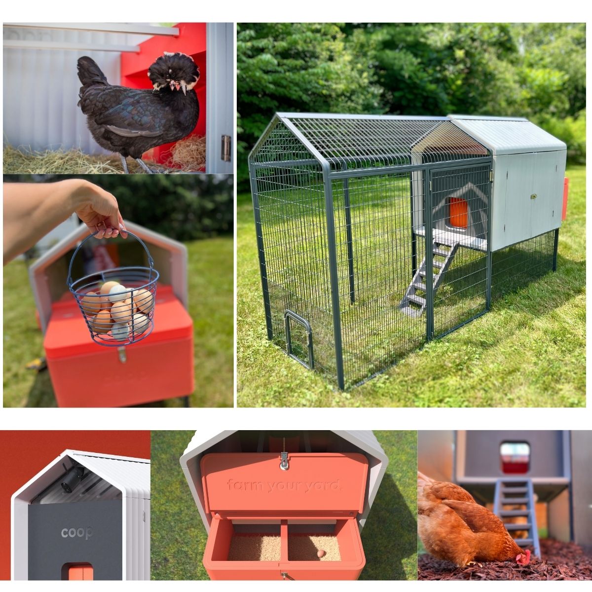 Coop The Smart Coop with Steel Run nesting boxes